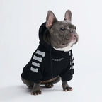 Black Reflective Dog Hoodie with Fleece Lining and Leash Opening for Comfortable Cold-Weather Walks product image 2
