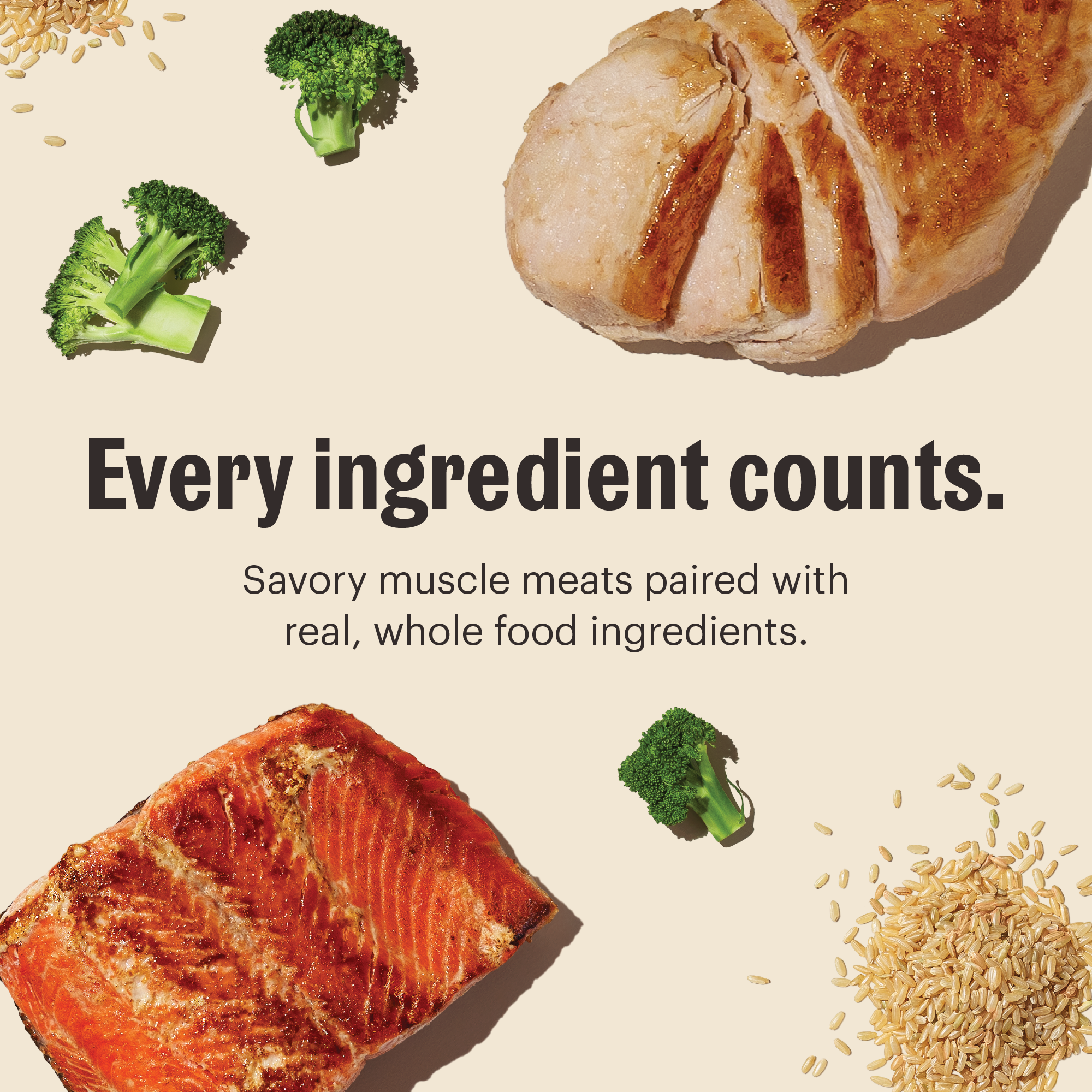 Salmon Chicken Dog Stew in Six 10.5 oz Cartons, Kettle-Cooked Meal or Topper for Everyday Feeding source image 2