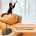 Interactive Bird Cat Toy Bundle, Weighted Base and Suction Cup Set with Five Realistic Attachments for Hunting Play source image 2