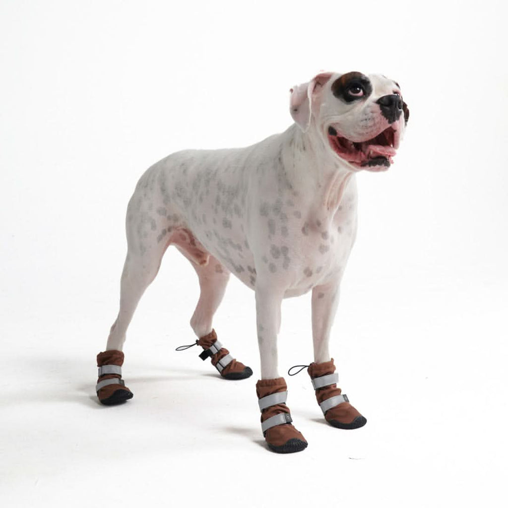 Waterproof Dog Rain Boots in Brown, Four-Shoe Set for Mud, Snow and Wet Walks across Eight Sizes source image 2