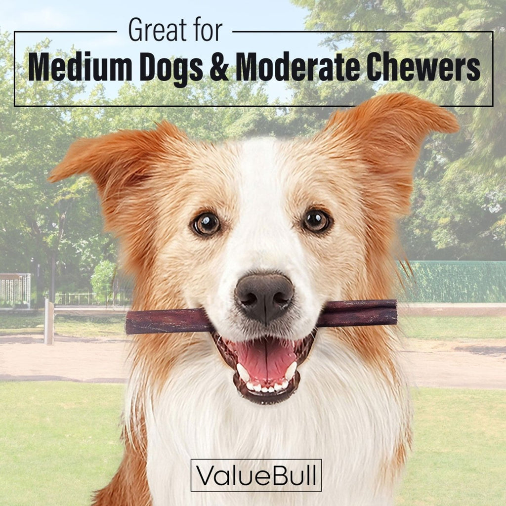 Medium Beef Collagen Dog Chews product image 2