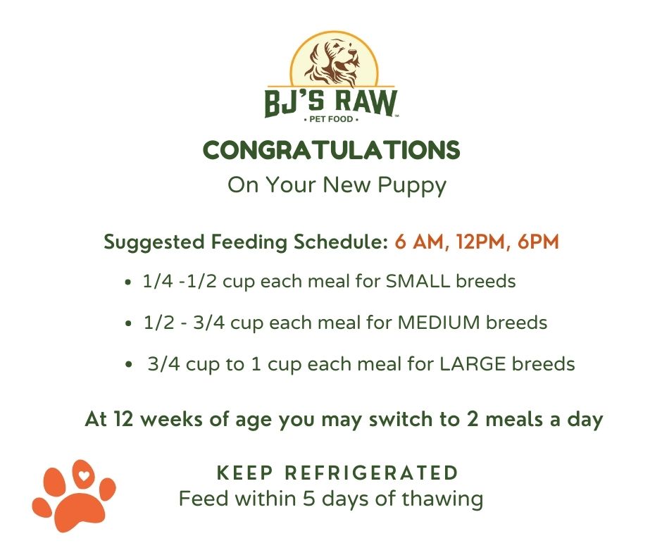 Raw Puppy Food Starter Kit product image 2
