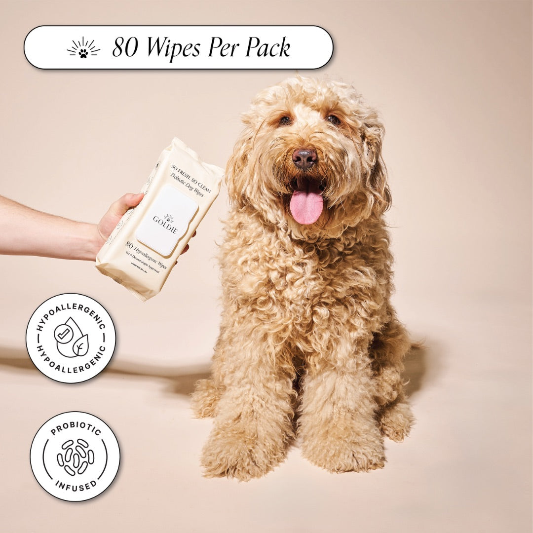 Dog Clean and Calm Care Set product image 2