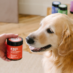 Turmeric Wellness Powder for Dogs product image 2