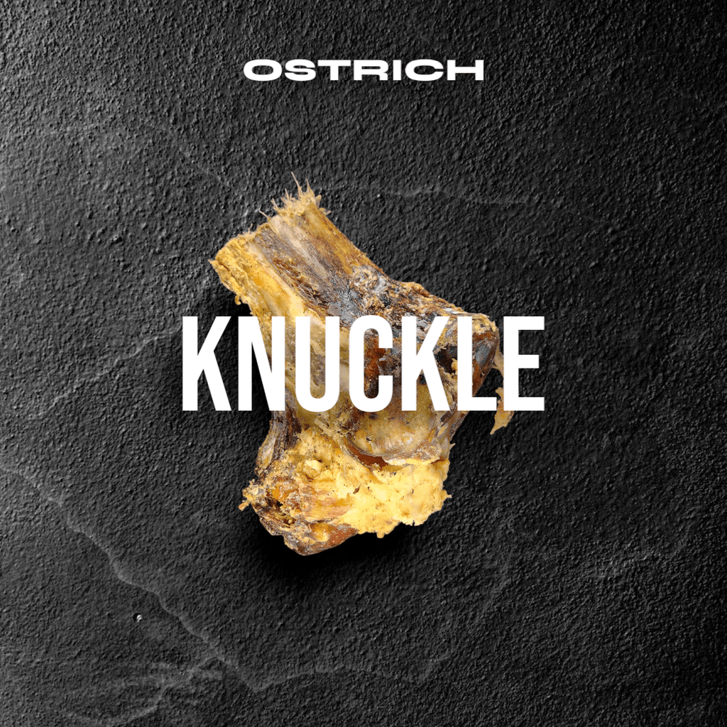 Large Ostrich Knuckle Dog Chew product image 2