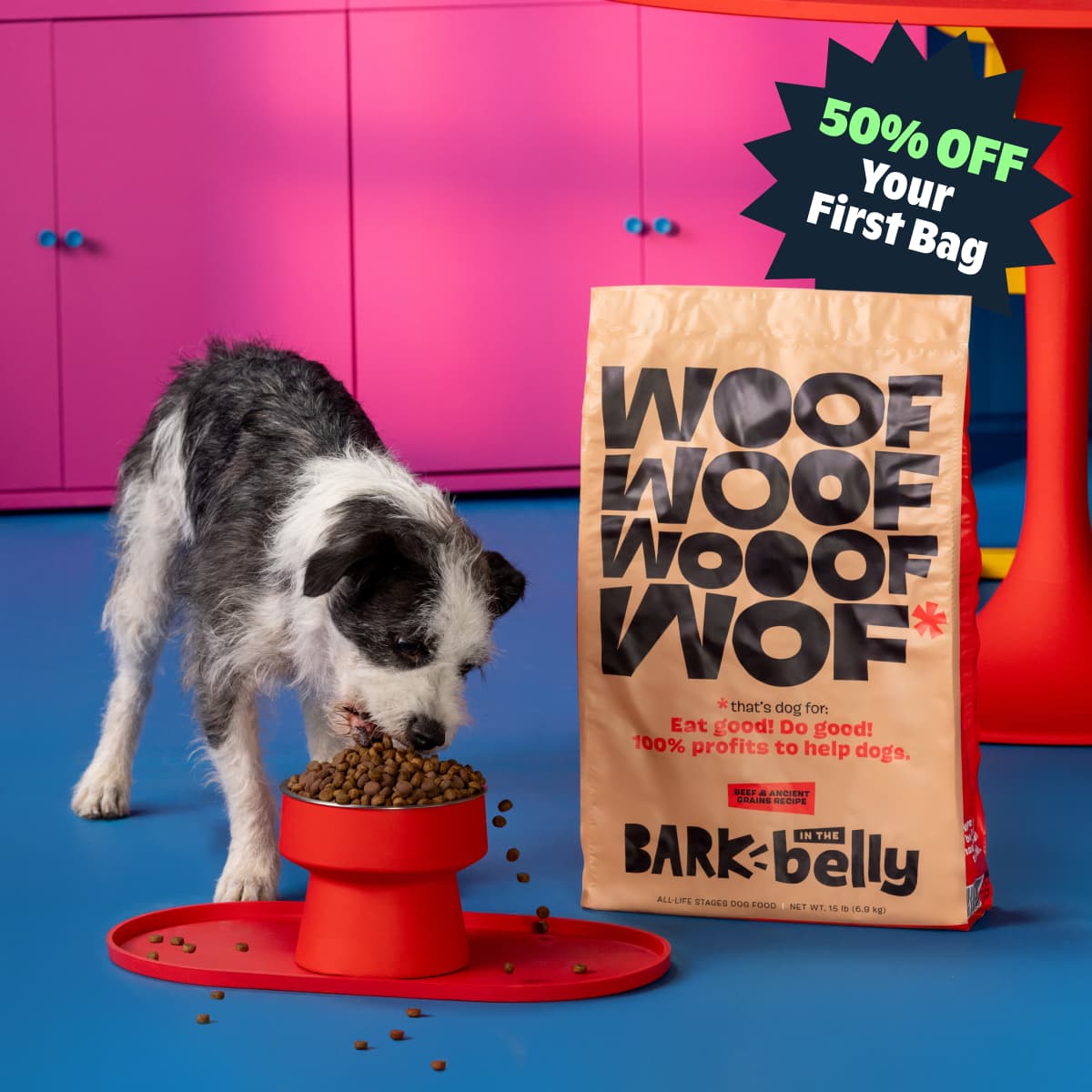 Beef and Ancient Grains Dry Dog Food product image 2