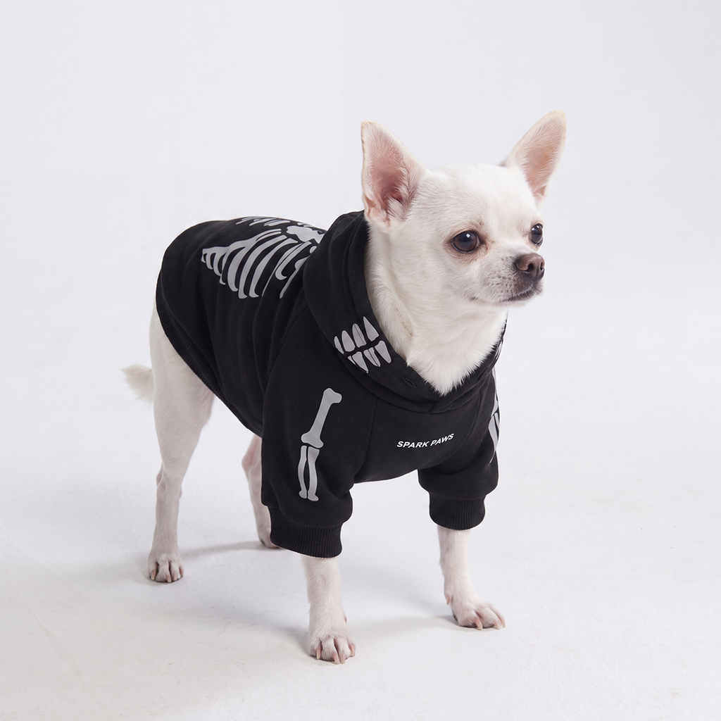 Reflective Skeleton Halloween Dog Hoodie S