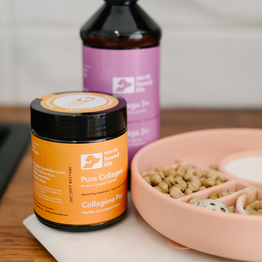 Bovine Collagen Dog Supplement product image 2