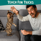 Cat Clicker Training Starter Kit product image 2