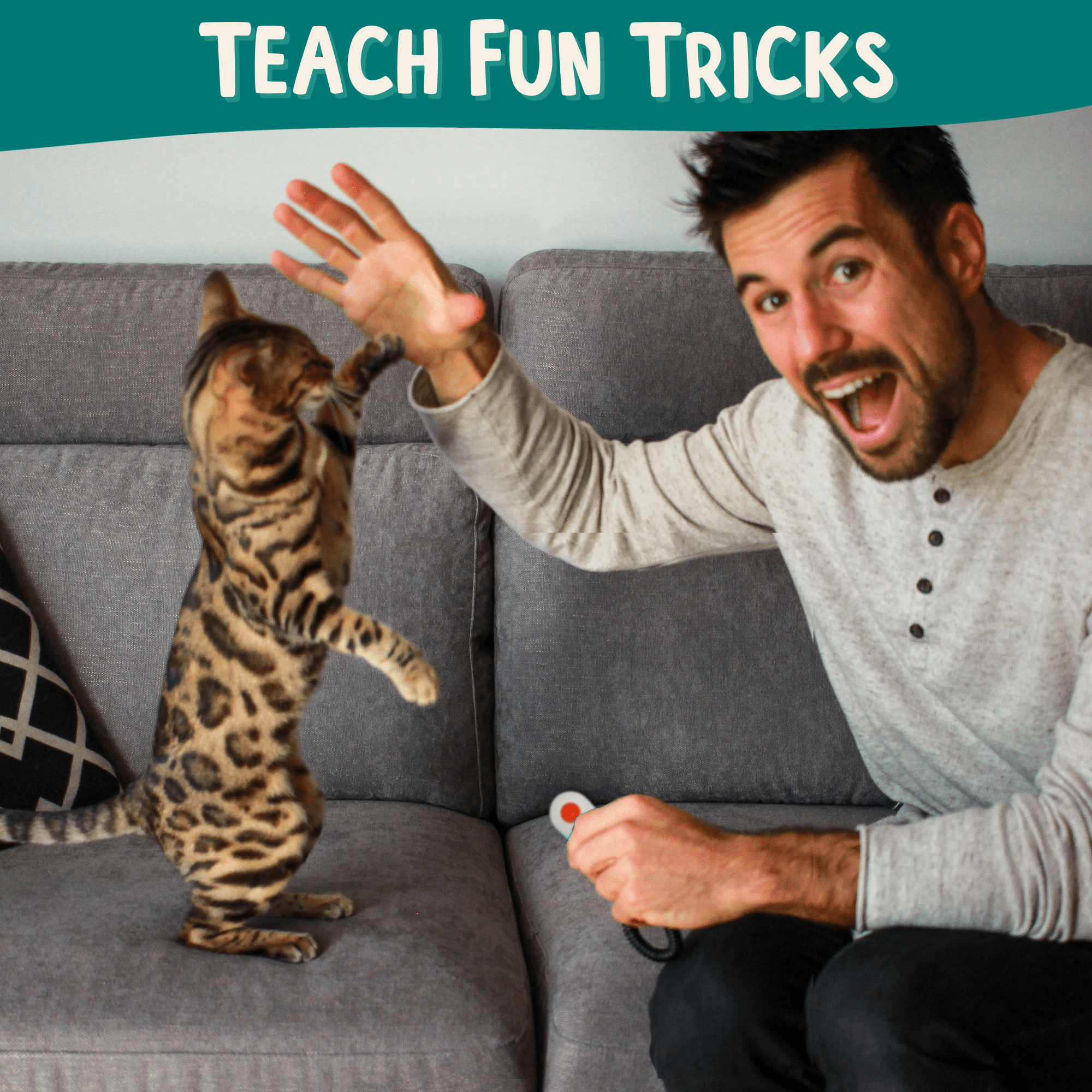 Cat Clicker Training Starter Kit product image 2