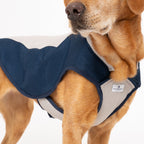 Triple-Layer Evaporative Dog Cooling Coat product image 2