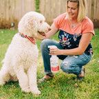 Peppermint Flea and Tick Spray product image 1