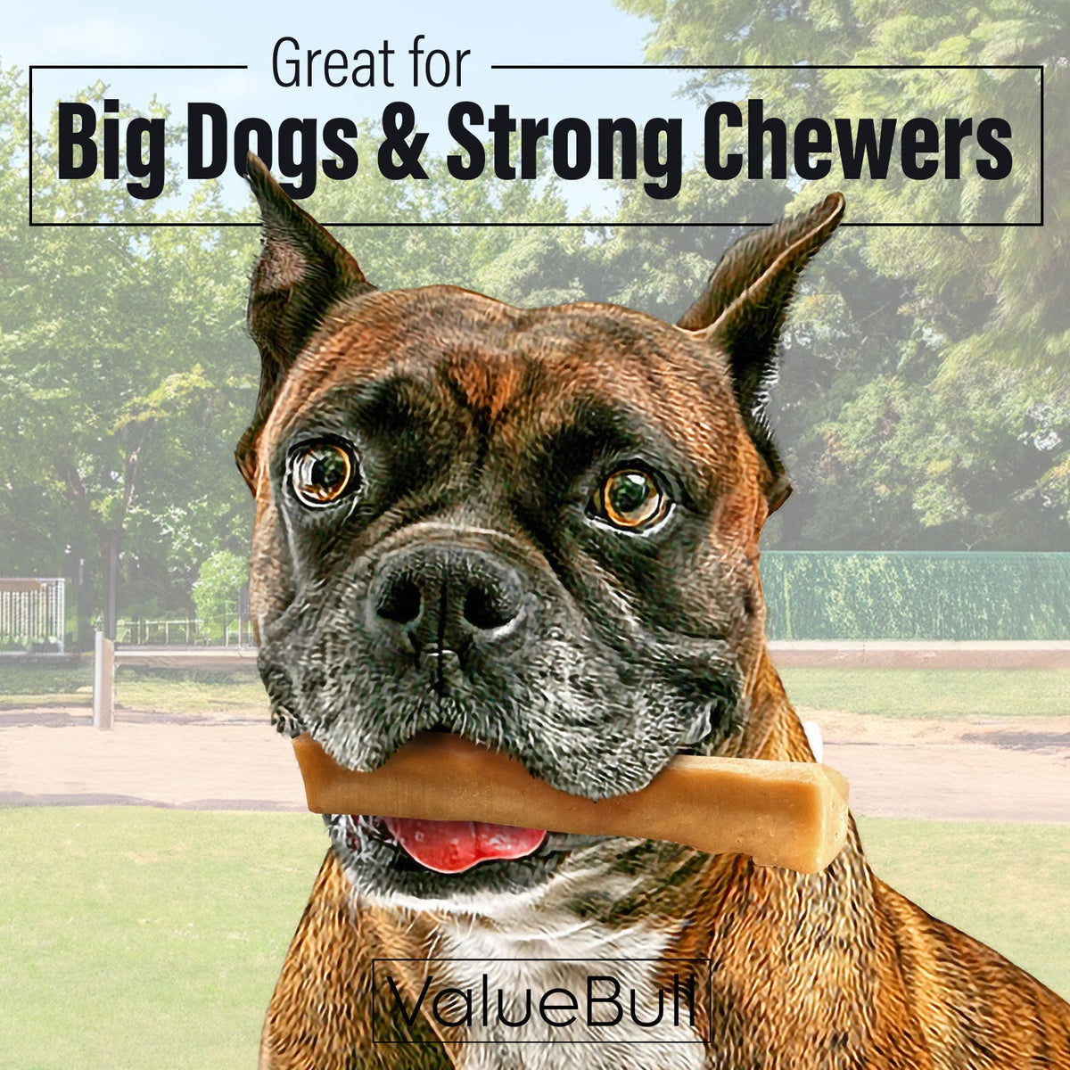 Large Himalayan Yak Cheese Dog Chews product image 2
