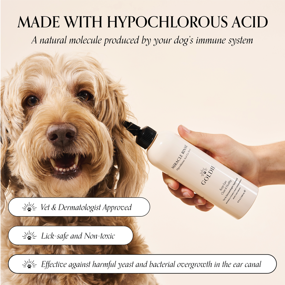 Hypochlorous Acid Dog Ear Rinse product image 2