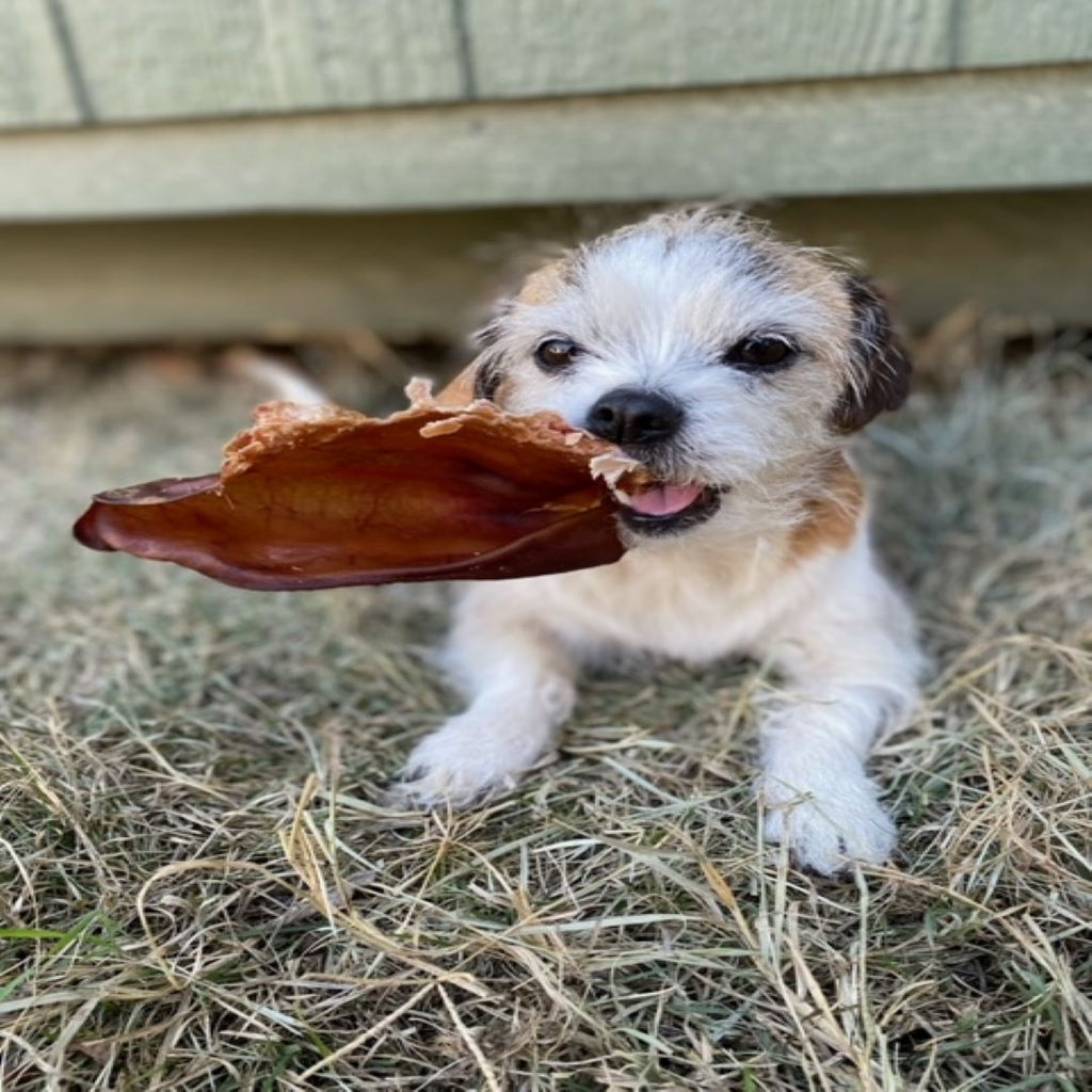 Slow-Smoked Pig Ear Dog Chews product image 2