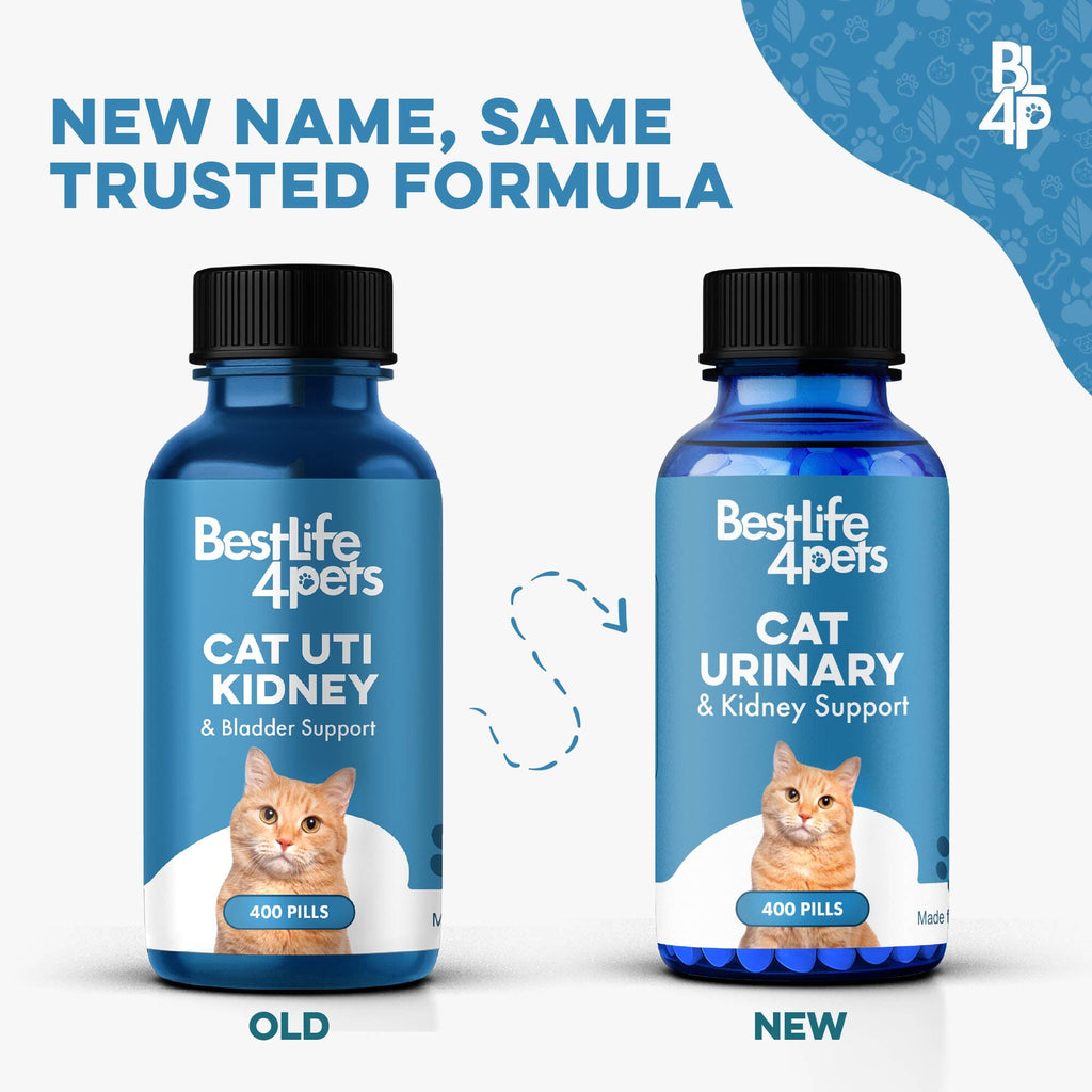 Cat Urinary and Kidney Support Tablets product image 2