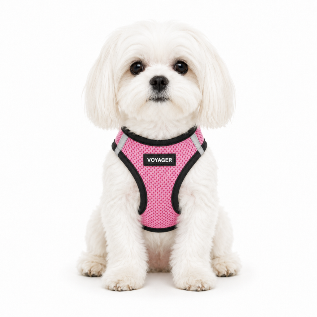 Breathable Step-In Dog Harness product image 2