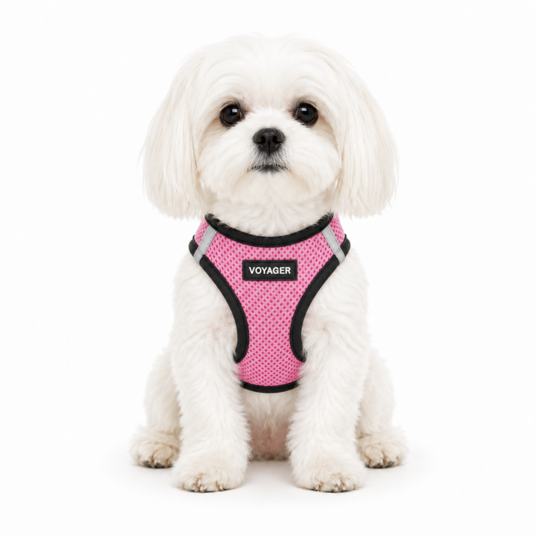 Breathable Step-In Dog Harness product image 2