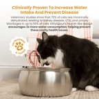 Cat Water Fountain Bundle product image 3