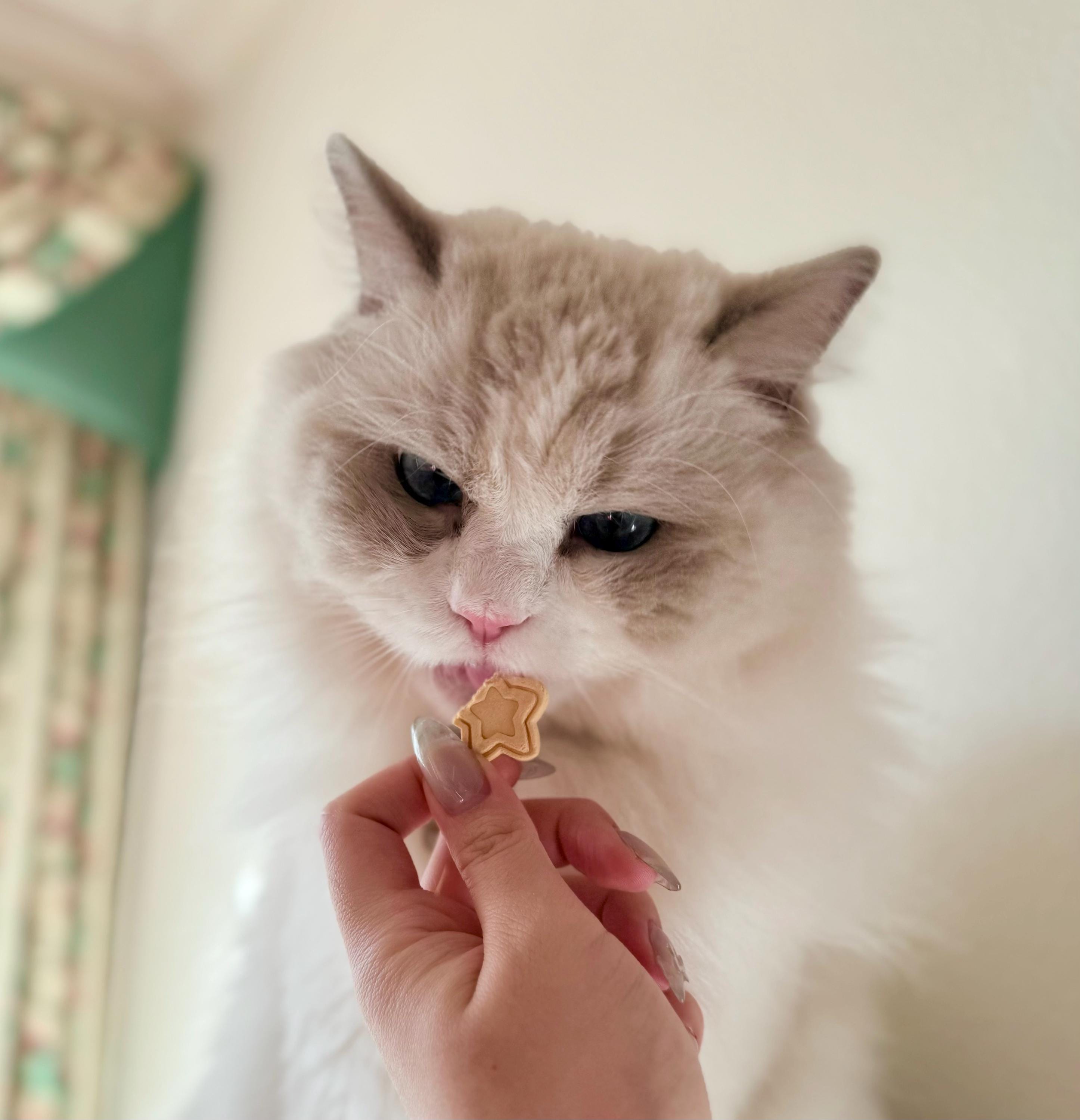 Chicken Pet Treats product image 2