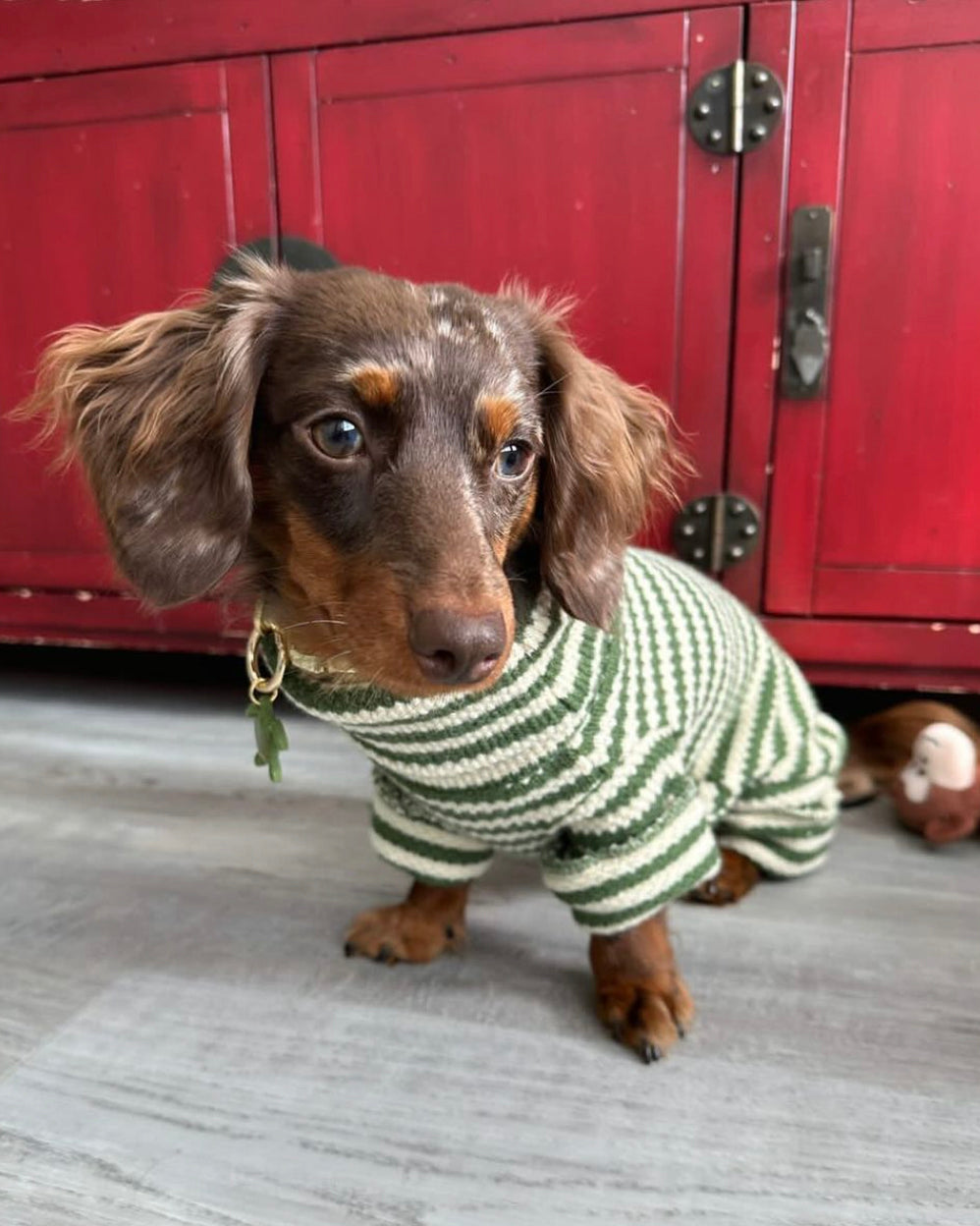 Striped Knit Dog Onesie product image 2