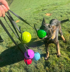 Replacement BioThane Dog Ball Strap product image 2