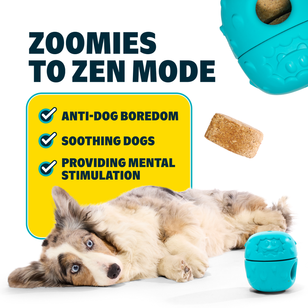 Dog Treat-Dispensing Toy Starter Kit product image 2