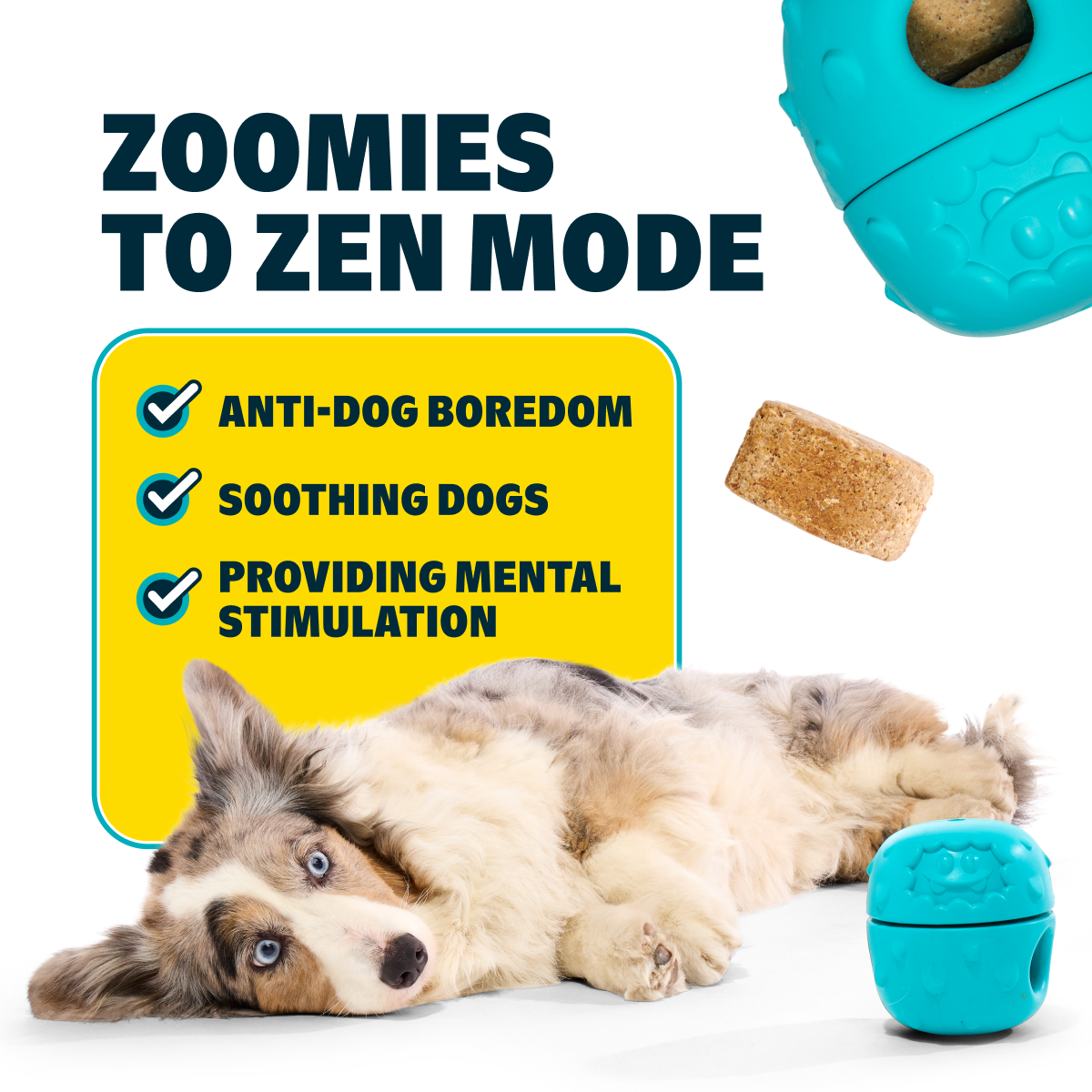 Dog Treat-Dispensing Toy Starter Kit product image 2