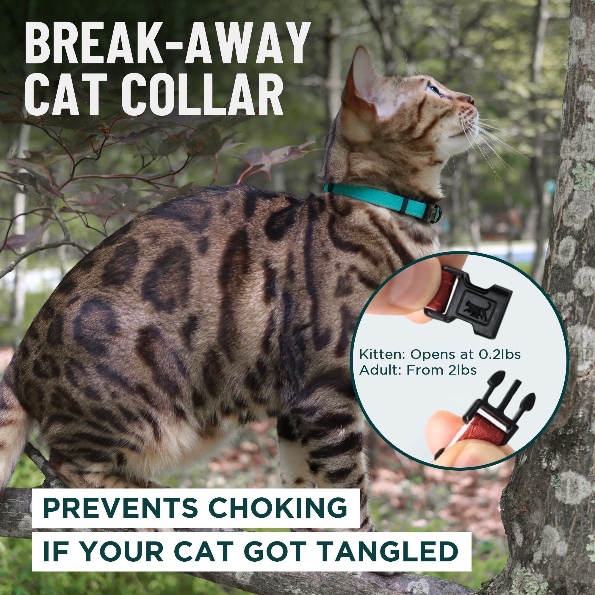 Breakaway Cat Collar product image 2
