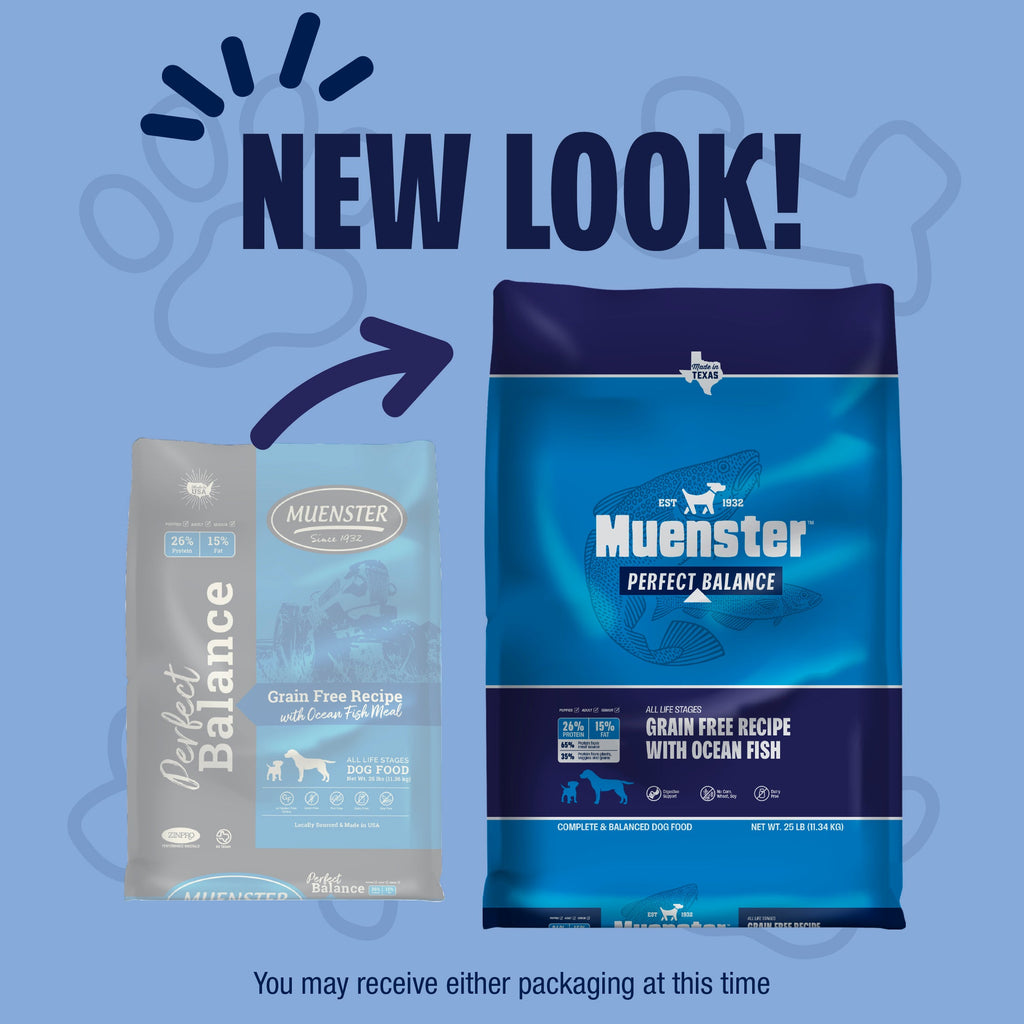 Grain-Free Ocean Fish Dry Dog Food product image 2
