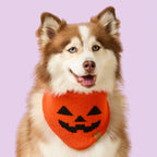 Jack-o’-Lantern Knit Dog Bandana product image 2