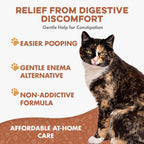 Cat Constipation and Digestive Support Tablets product image 2