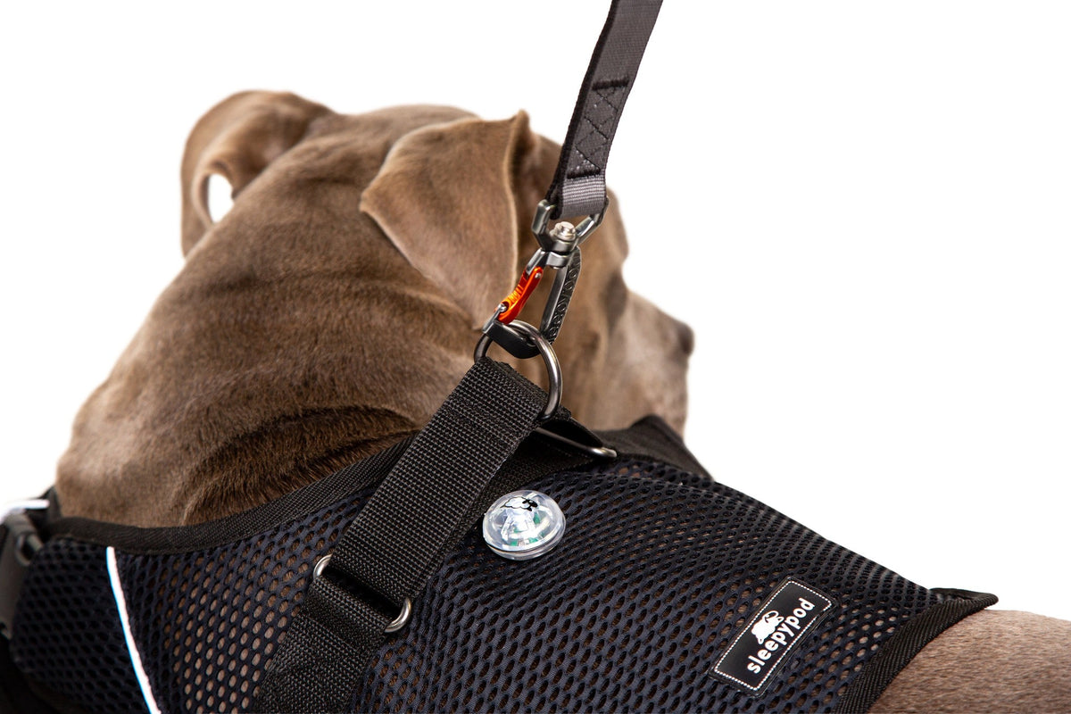 Martingale Dog Harness product image 2