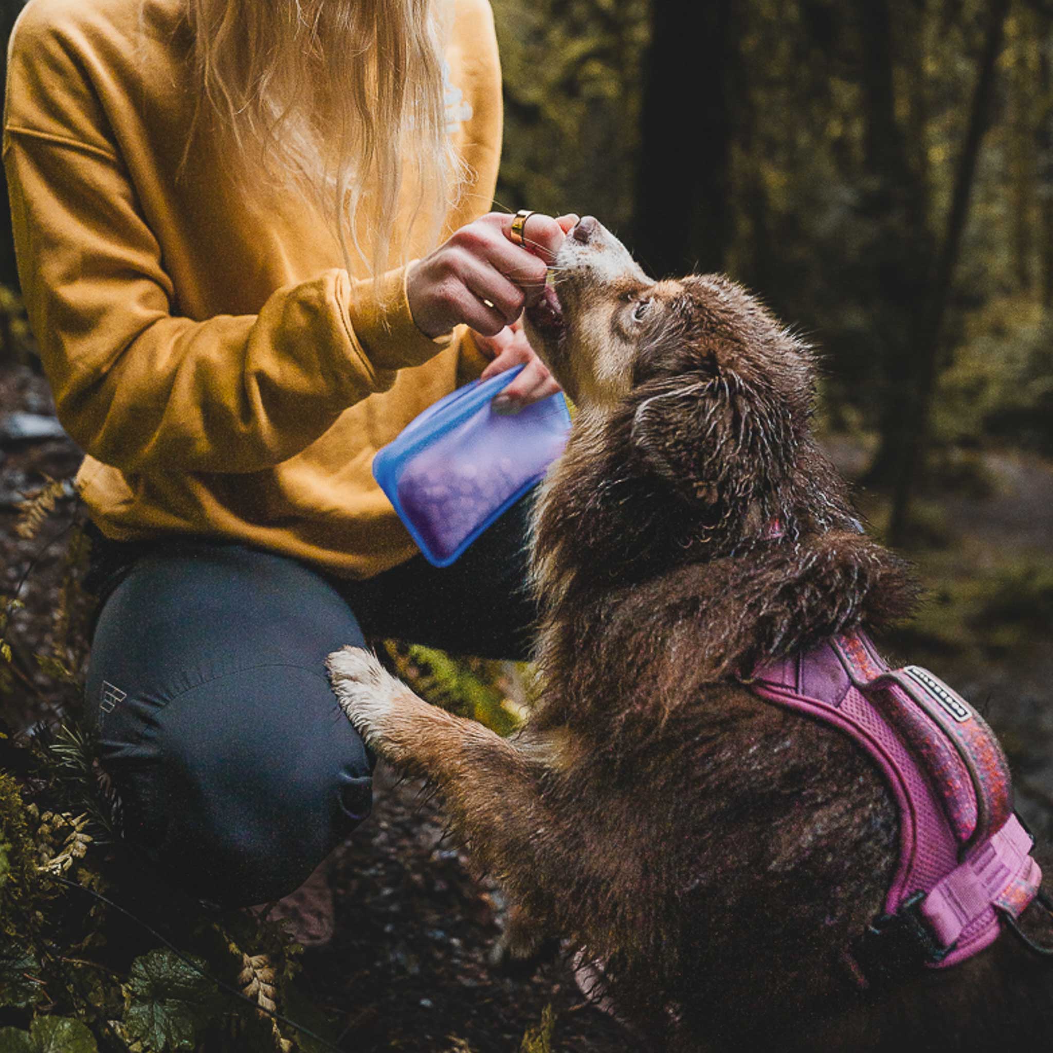 Reusable Silicone Dog Treat Bag product image 2