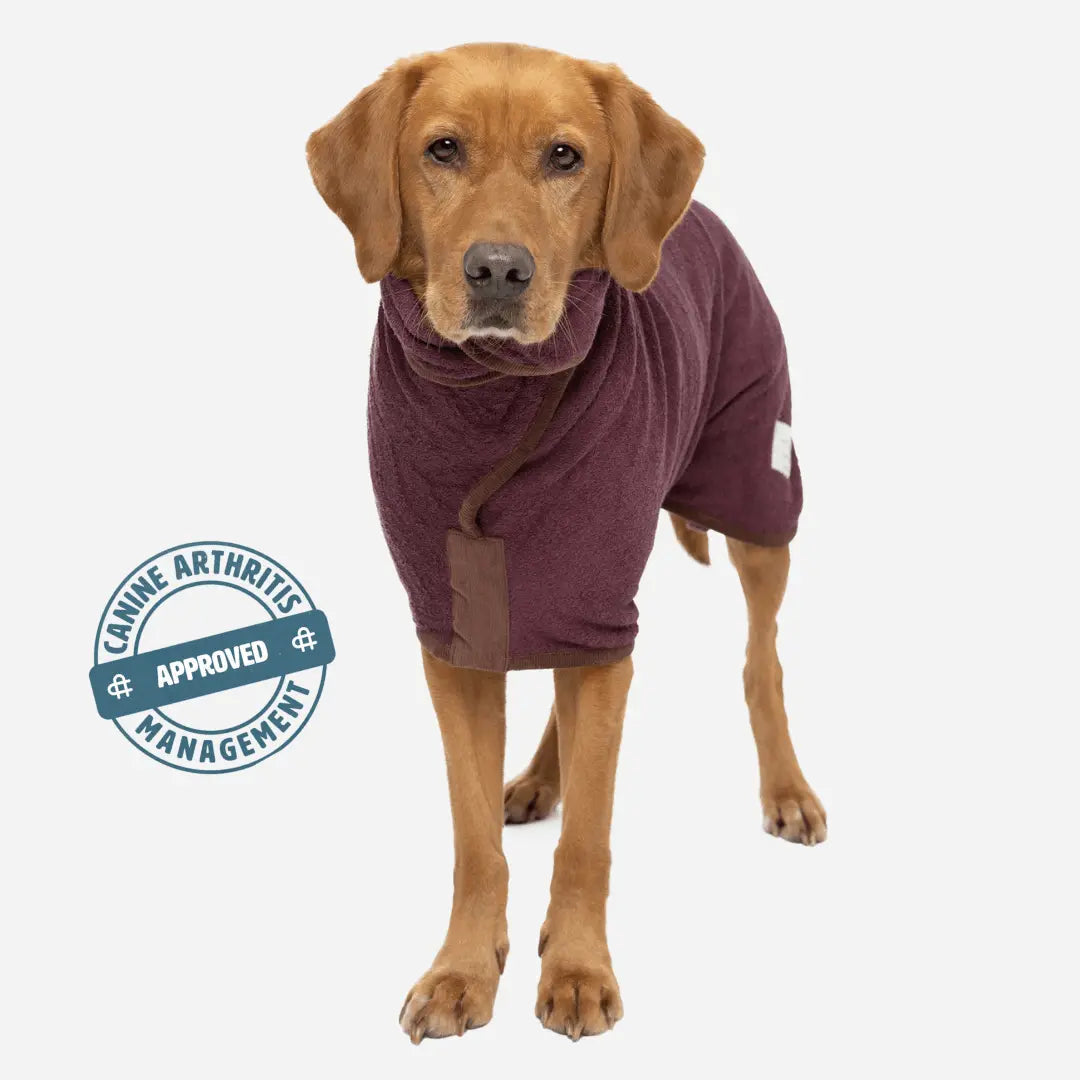 Burgundy Cotton Dog Drying Coat product image 2