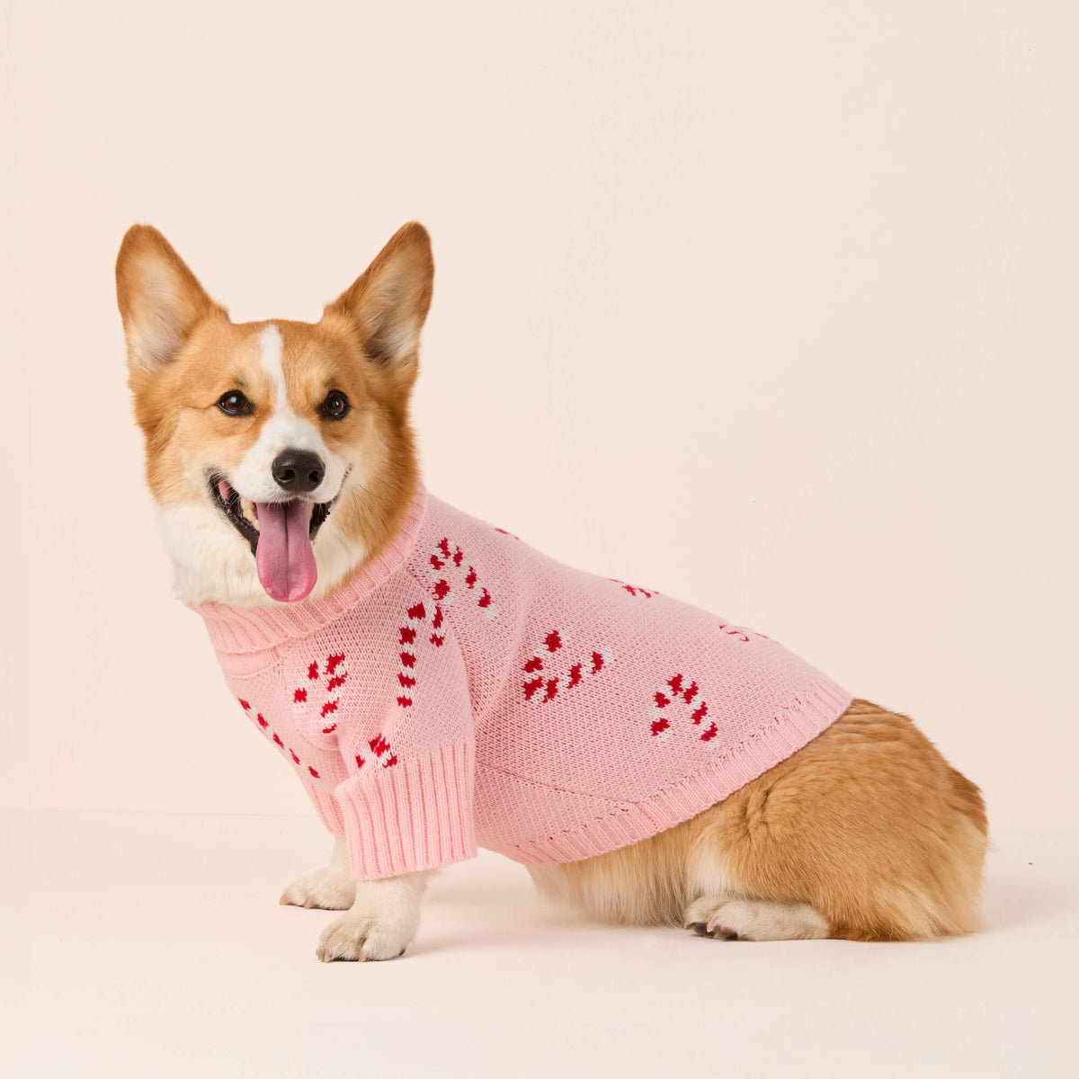 Dog Sweater product image 2