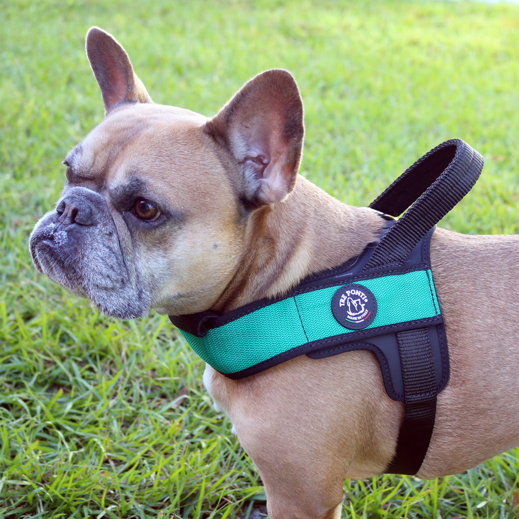 Dog Harness product image 2