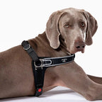 Reflective Martingale No-Pull Dog Harness product image 2