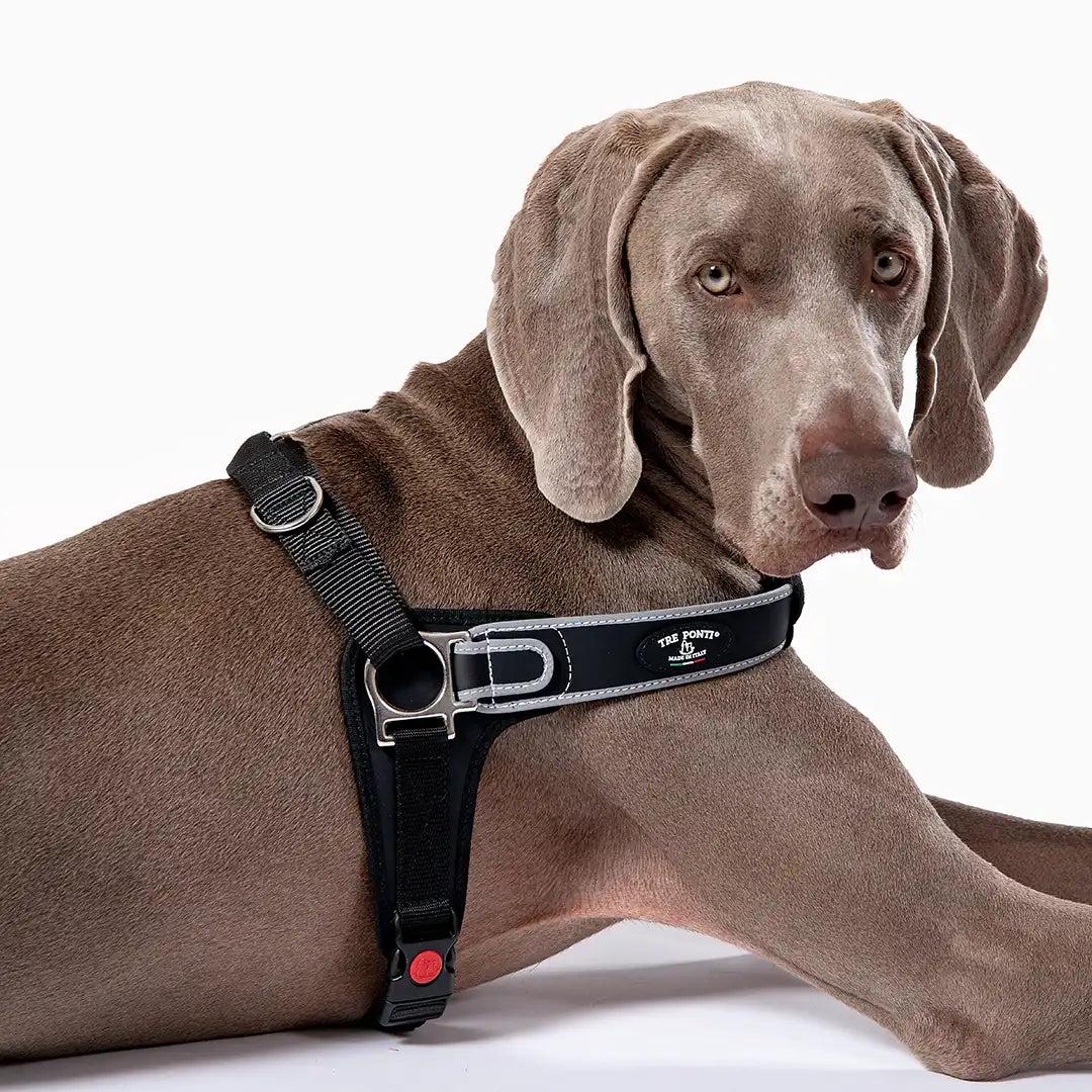 Reflective Martingale No-Pull Dog Harness product image 2