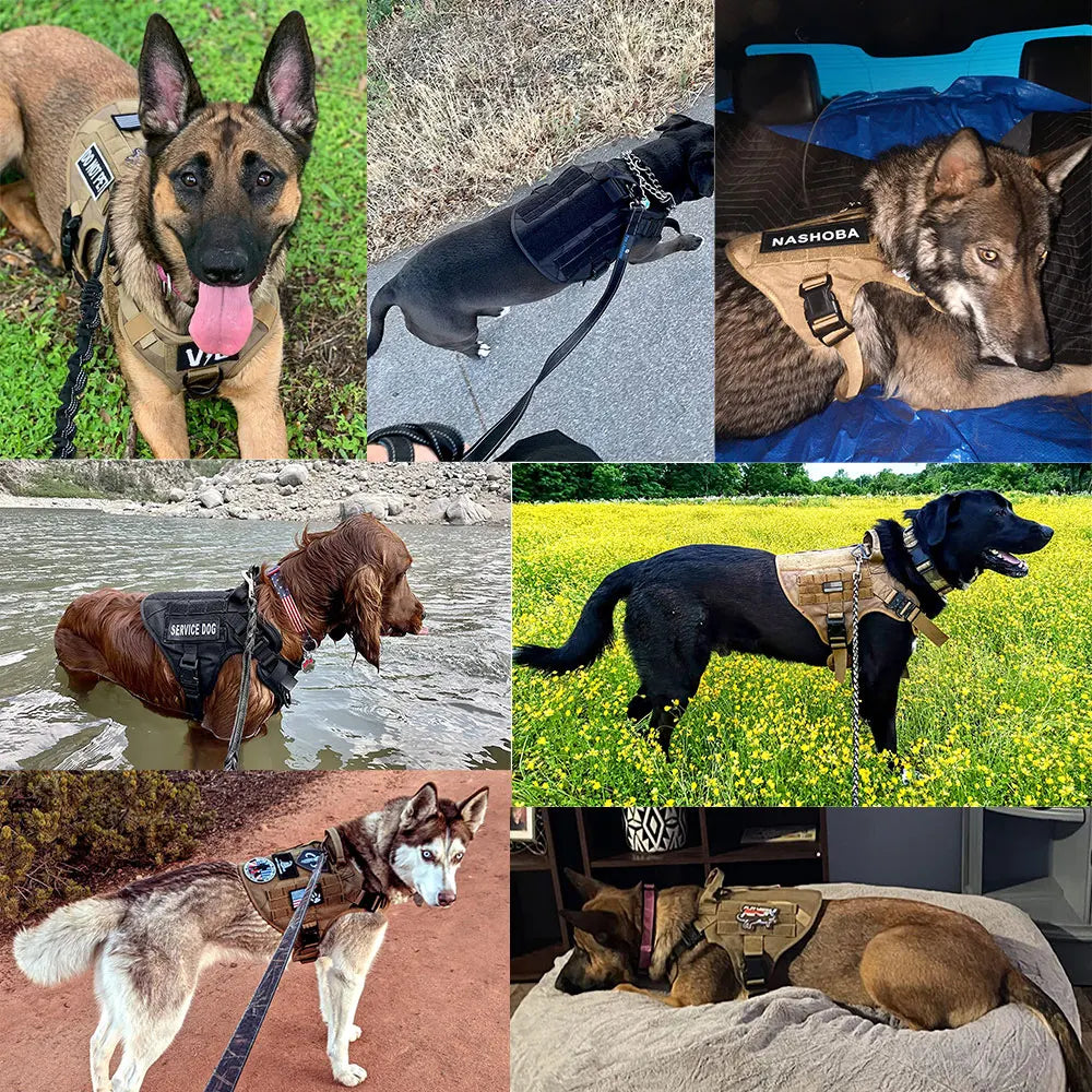 Tactical No-Pull Dog Harness product image 2