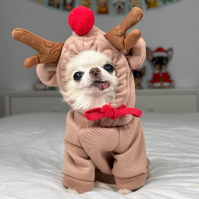Reindeer Dog Costume product image 2
