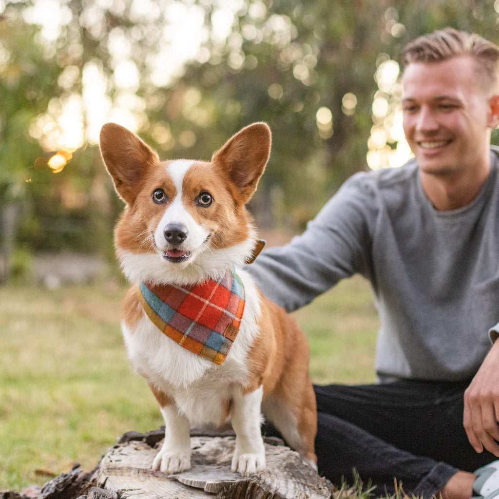 Dog Bandana product image 2