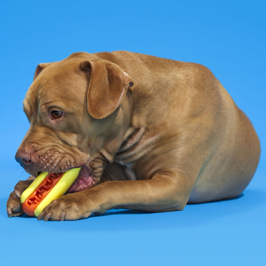 Rubber Treat-Holding Dog Toy product image 2