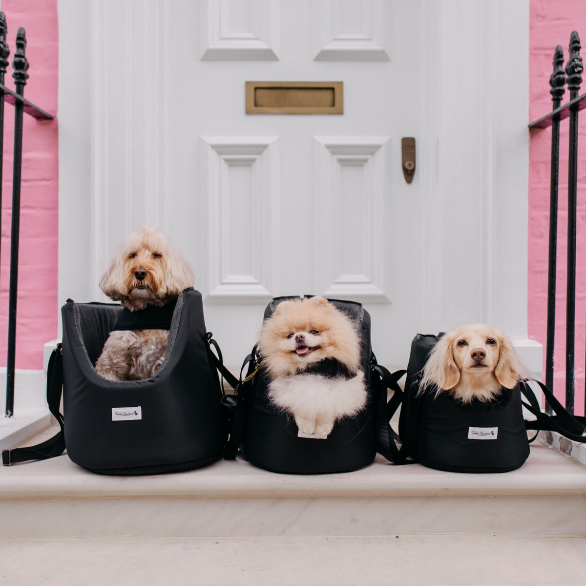 Convertible Soft-Sided Dog Carrier product image 2