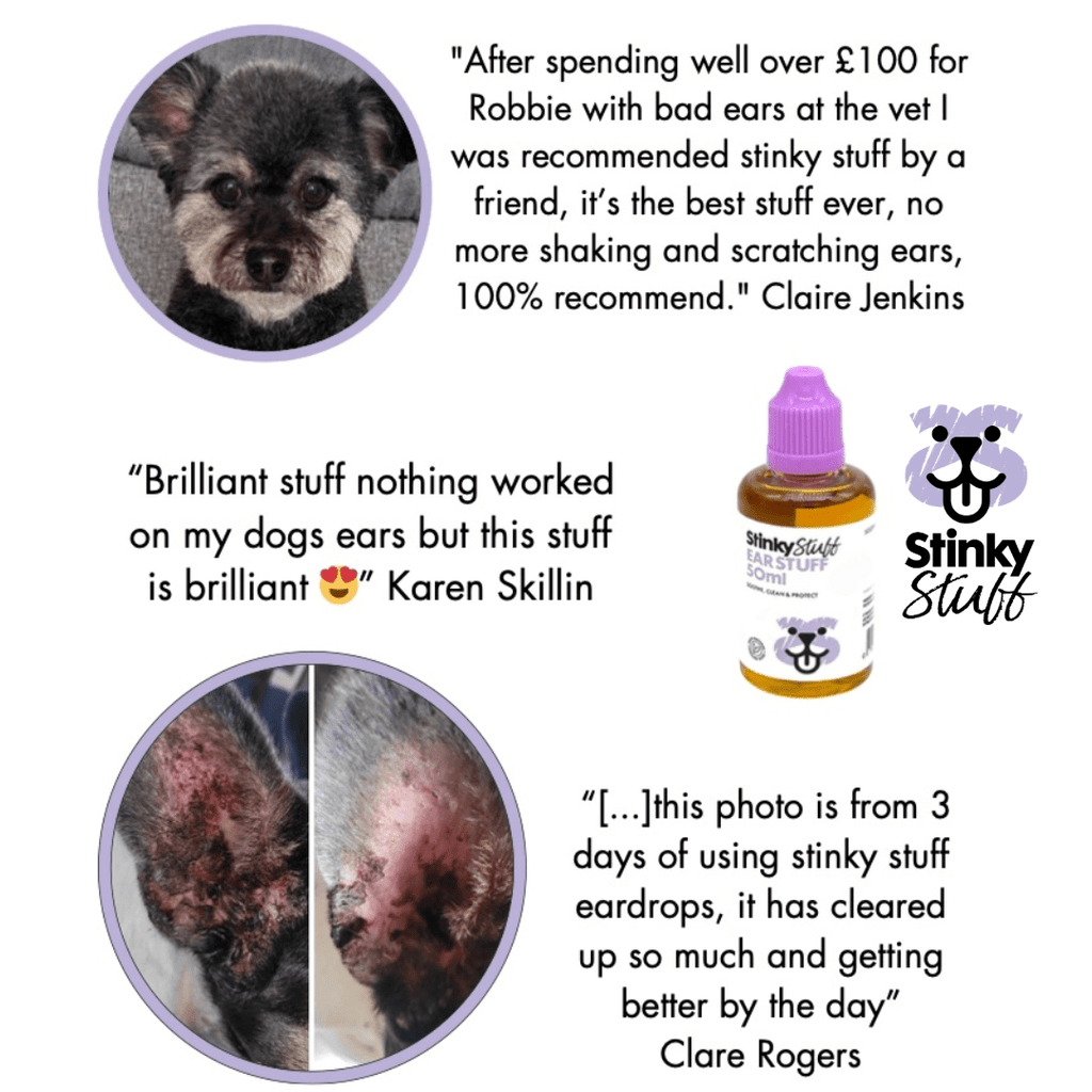 Dog Ear Drops product image 2
