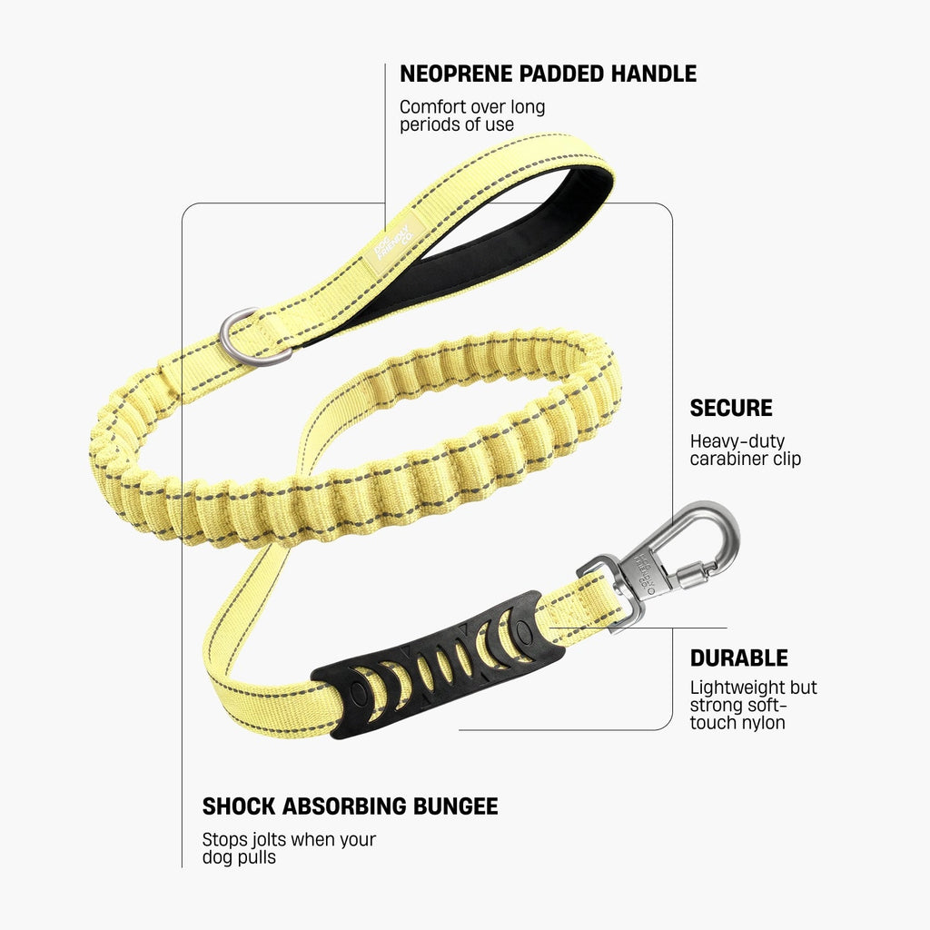 Bungee Dog Leash product image 2
