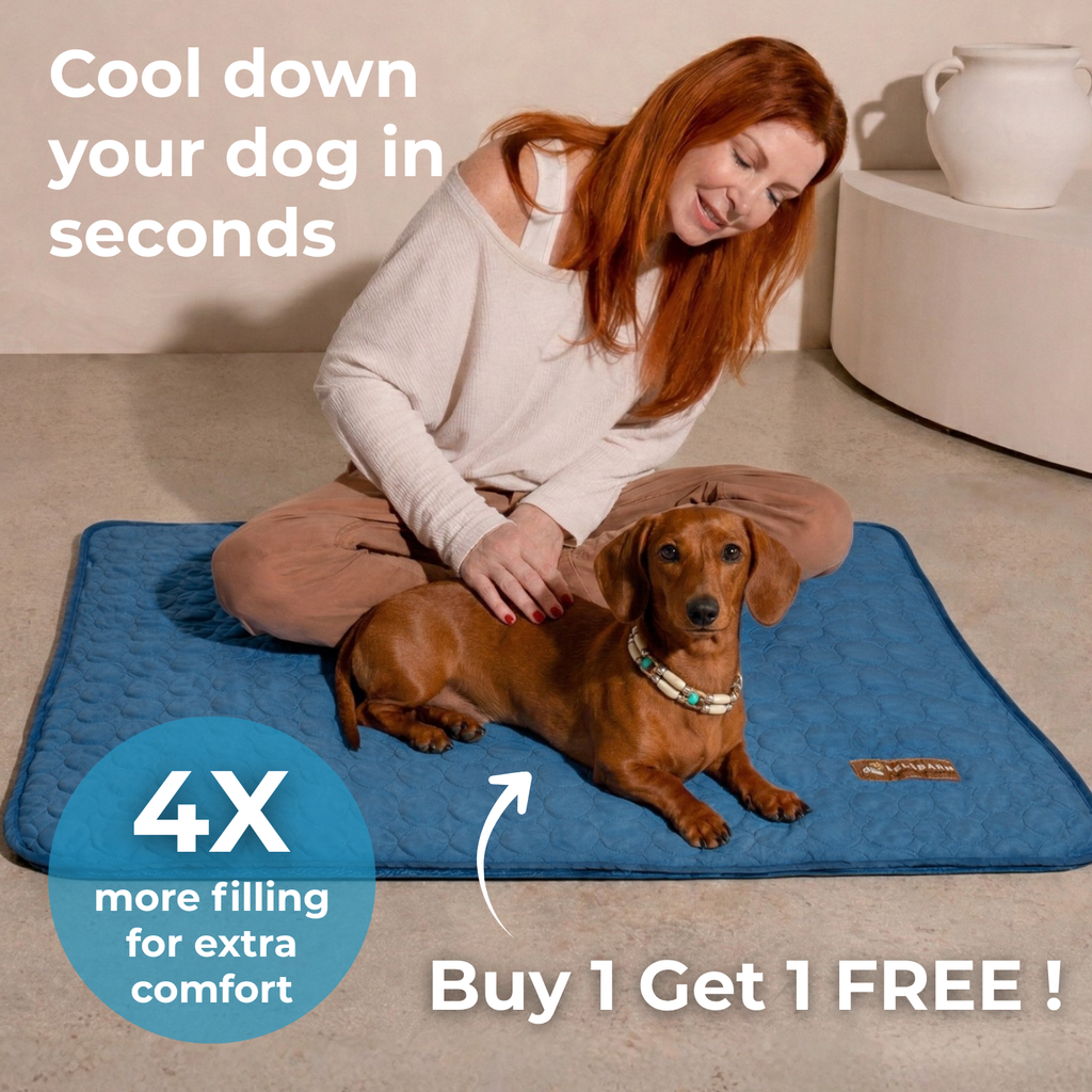 Dog Cooling Mat product image 2