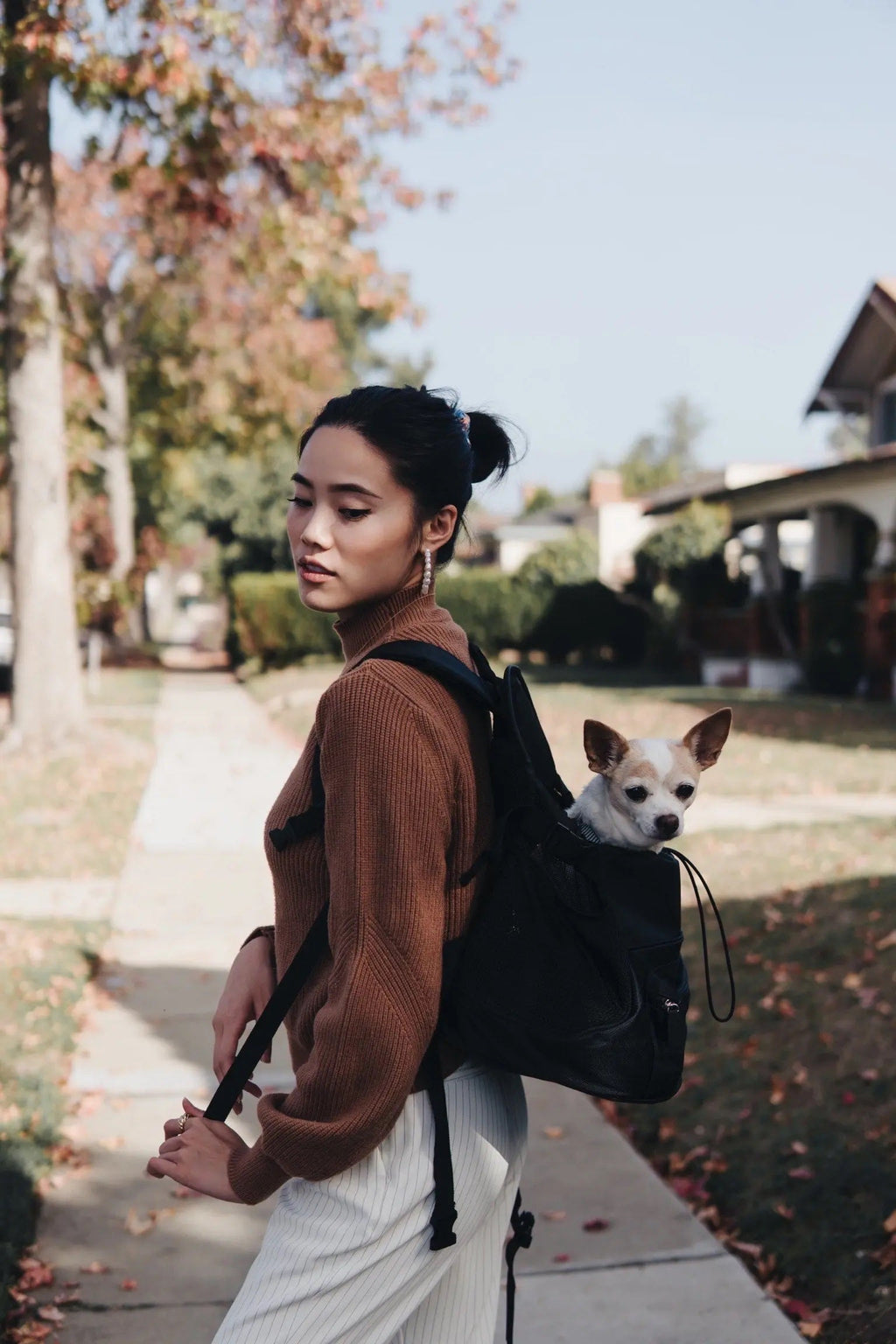 Pet Backpack Carrier product image 2