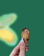 Green-Lipped Mussel Pet Treats product image 2