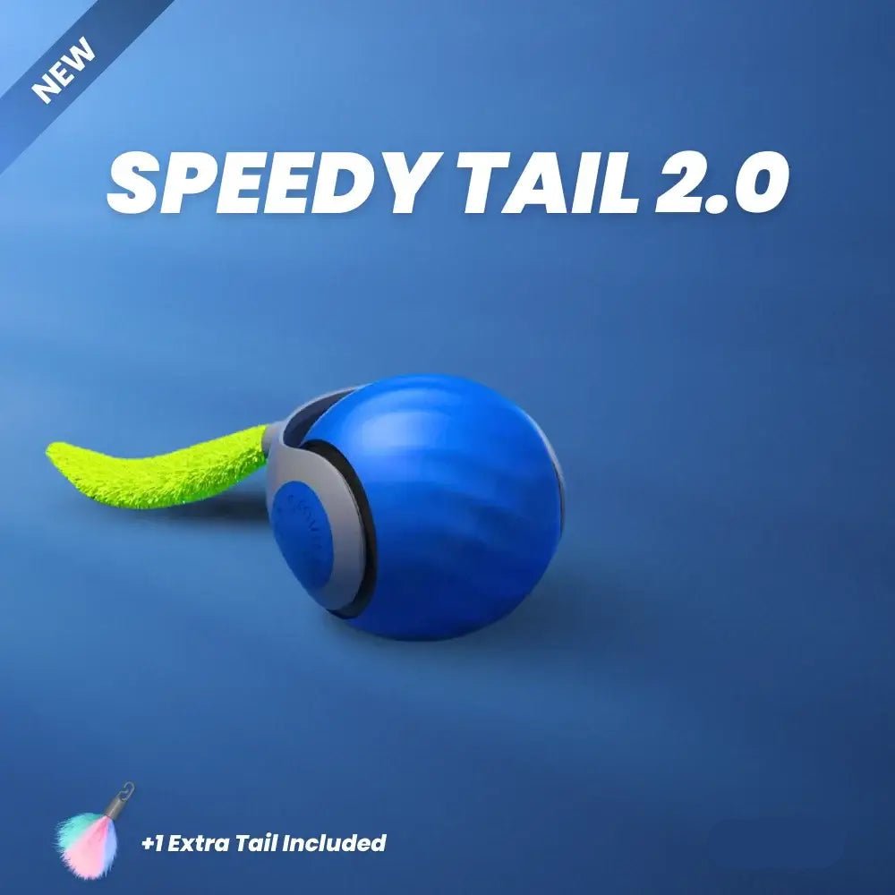 Interactive Cat Toy product image 2